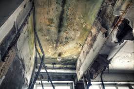 Best Mold Remediation for Healthcare Facilities in Kings Bay Base, GA